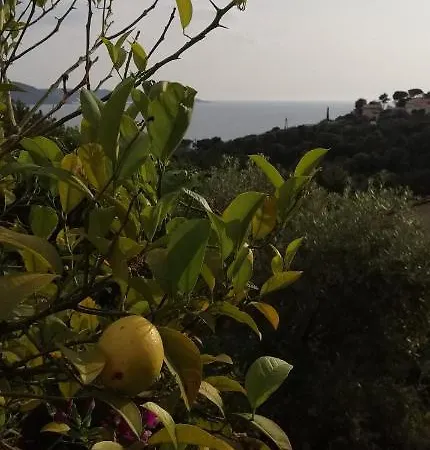 Le Repaire Des Pirates *