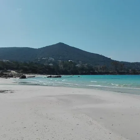 Le Repaire Des Pirates *