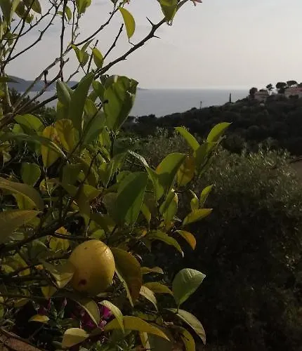 Le Repaire Des Pirates *