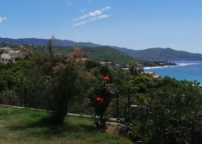 Le Repaire Des Pirates