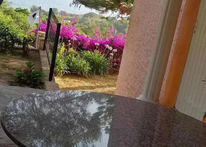 Le Repaire Des Pirates Pietrosella