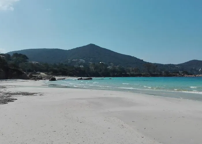 Le Repaire Des Pirates *