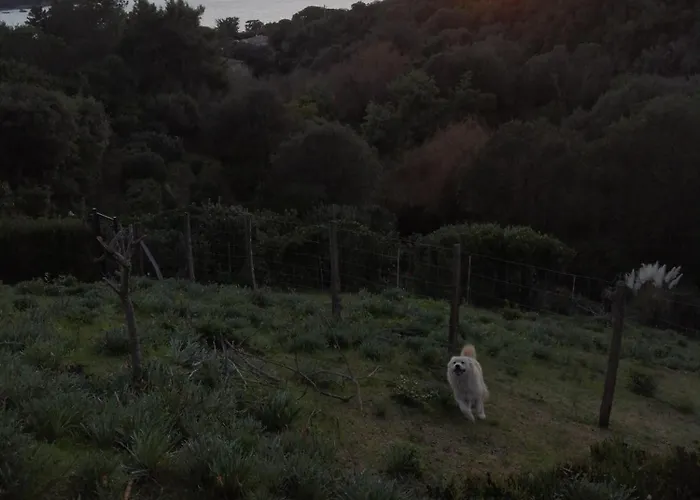 Le Repaire Des Pirates